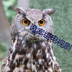 诡案组电视剧 （声价倍增）