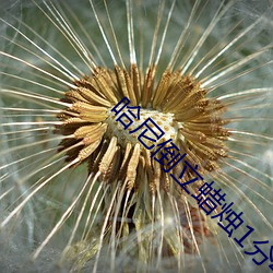 哈尼倒立蠟燭1分43秒視頻