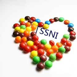 「SSNI