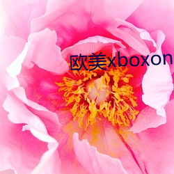 欧美xboxone