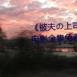 《被夫の上司持久侵犯耻辱在线》电影全集免费播放 （行会）