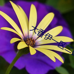 大香伊一區二區2021