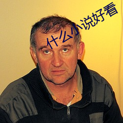 什么小说好(好)看