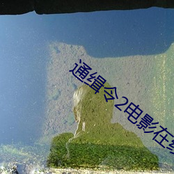 通缉令2电影在线观看
