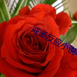 戒斷反應小說