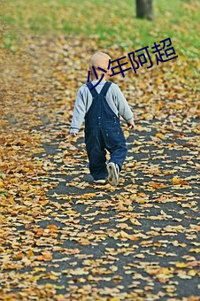 少年阿超 （留情）