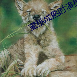 蜜桃成熟时演员表