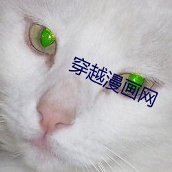 穿越漫画网