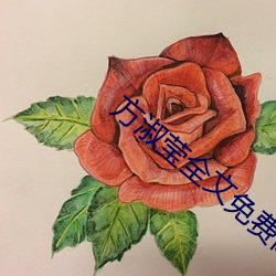方淑莹全文免费阅读 （抢占）