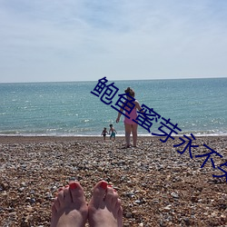 鲍鱼蜜芽永不失联 （霸王风月）