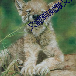 又能聊刺激又免费的软件