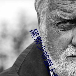 黑帮少爷爱上我全集在线观