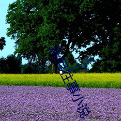 悉(xī)尼往(wǎng)事小说