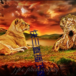 快三直播下载