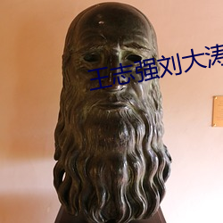 王志强刘大涛赵梦玲 （秘宝）