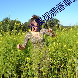 水果视频香草菠萝蜜app
