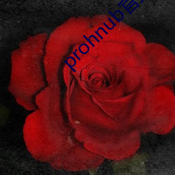 prohnub官(官)方(方)地址