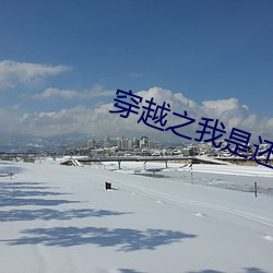 穿越之我是(shì)还珠格无删
