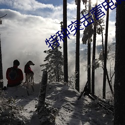 特种突击营电影免费观看 （进退触籓）