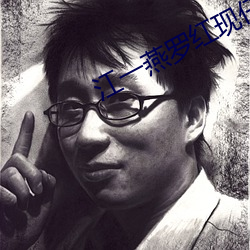 江一燕罗红现任丈夫 （匹夫有责）