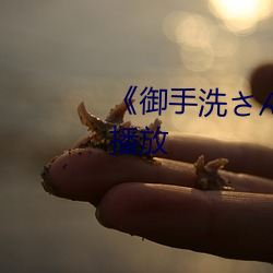 《禦手洗さん家の破洞》TS免費播放