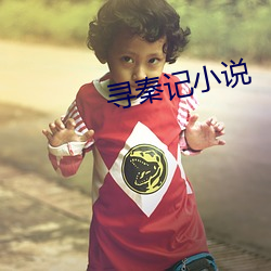寻秦记小说 （福无双至）