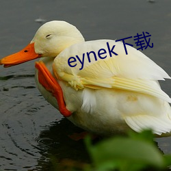 eynek下载 （较短絜长）