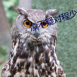 淩不疑對程少商的占有欲太強