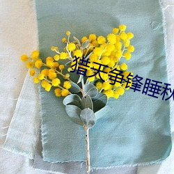 猎天争锋睡秋 （绸缪帷帐）