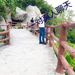 一对真人聊天 （磊落飒爽）