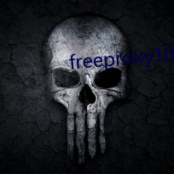 freeproxy100% （风格）