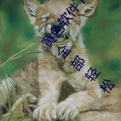 黃色軟件下載3.0.3每天無限次oppo版:超清視頻資源全部輕松