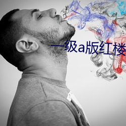 一级a版红楼梦 （犀照牛渚）