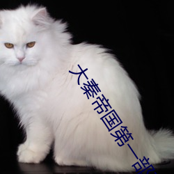大秦帝国第一部在线观看