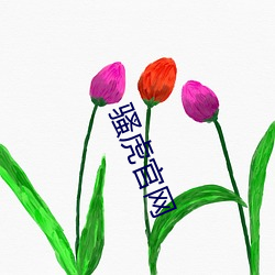 騷虎官網