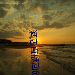 酒店直播回放