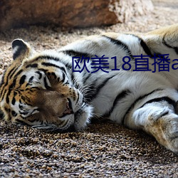 欧美18直播app （至德要道）