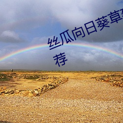 丝瓜向日葵草莓小猪鸭脖app站长推荐