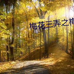 梅花(花)三(三)弄(弄)之梅花烙(烙)01