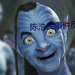 陈(陳)浩民(民)事件反转