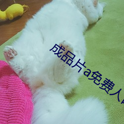 成品片a免费人口