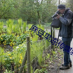 麻豆果冻传媒新剧国产在线