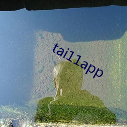 tai11app