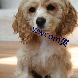 wwcom黄 （问罪）