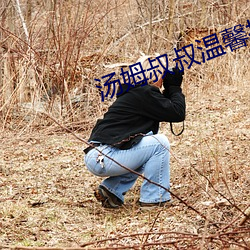 汤姆叔叔温馨提示