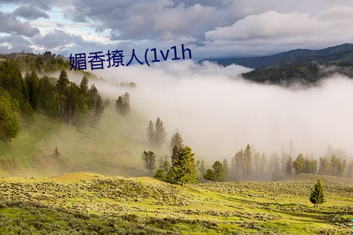 媚香(香)撩人(1v1h
