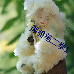 凯时|AG(AsiaGaming)优质运营商
