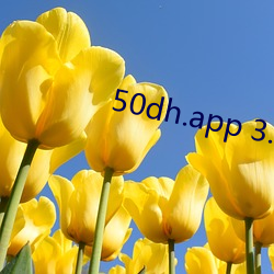 50dh.app 3.7.0破解苹(蘋)果(果)