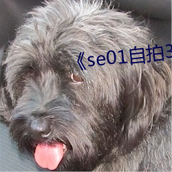 《se01自拍360