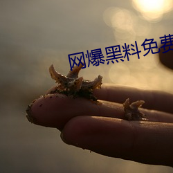 网爆黑料免费视频